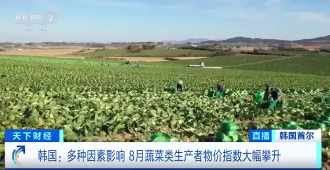 全球數字貿易服務