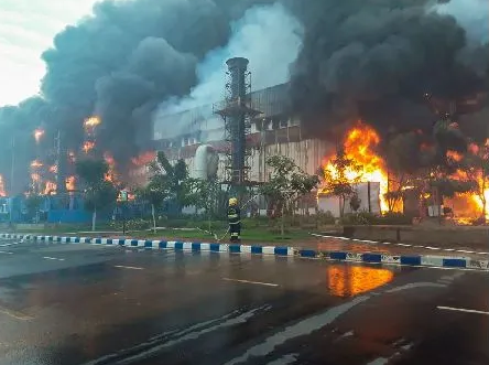 數字貿易服務平臺